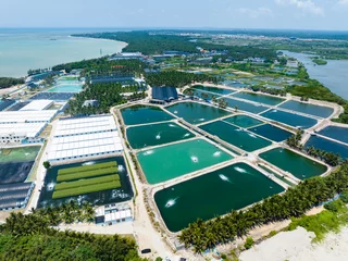 Fotobehang Wenchang seaside aquaculture farm in Hainan, China © hu