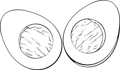 Half a boiled egg. Cut in half egg close-up. Vector illustration in hand drawn sketch doodle style. Line art keto diet product graphic isolated on white. Design for coloring book, print