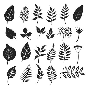 Abstract of tropical leaves. Design element black and white set. Flowers and leaves of the jungle or forest