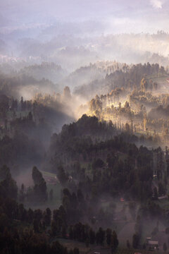 The early sun casts a golden glow on a mist-covered forest in the highlands, with layers of hills unfolding in the background