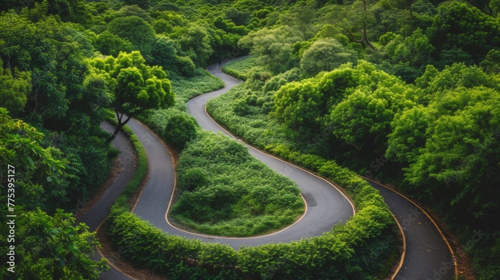 Wall mural A winding road through a lush green forest with trees, AI