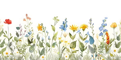 Printed roller blinds Meadow, Swamp wild flowers meadow field watercolor 