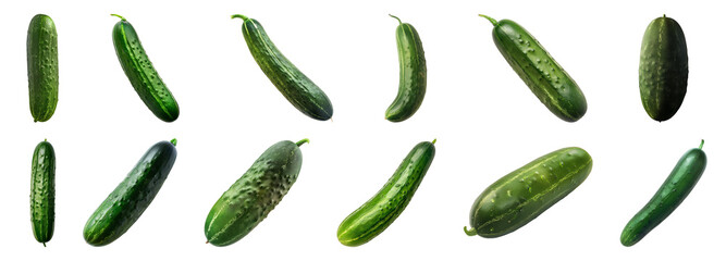 Fresh cucumbers in different orientations isolated cut out on transparent background - obrazy, fototapety, plakaty