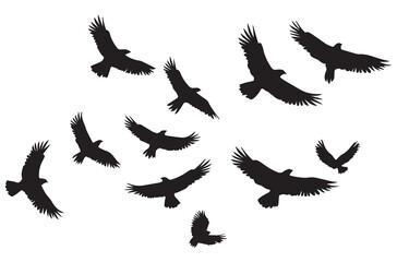 Flying birds silhouettes Vector illustration white background