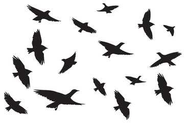 Flying birds silhouettes Vector illustration white background