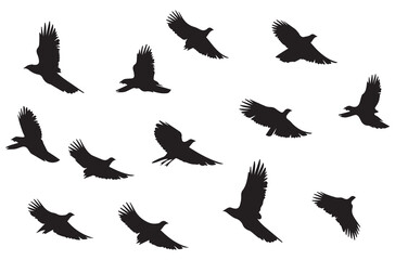 Flying birds silhouettes Vector illustration white background