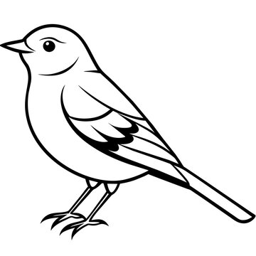 recommend clip art: line art of a warbler