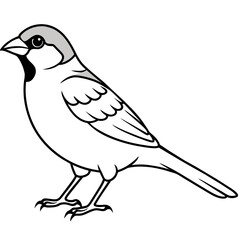 line art of a sparrow