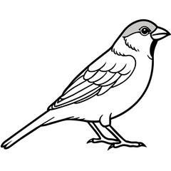 line art of a sparrow