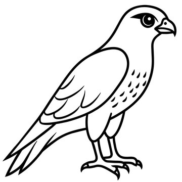 recommend clip art: line art of a sparrowhawk