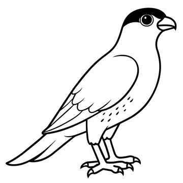 recommend clip art: line art of a sparrowhawk