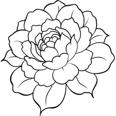 line art of a peony