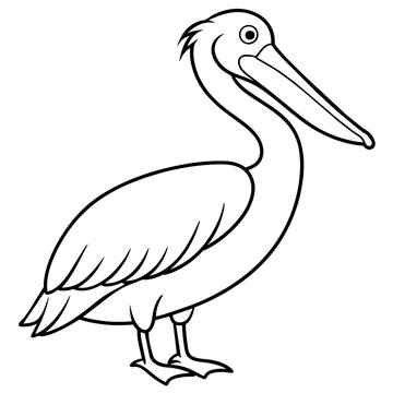 recommend clip art: line art of a pelican