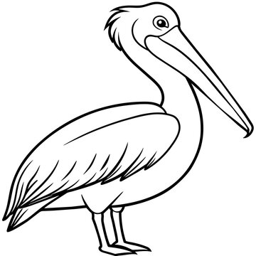 recommend clip art: line art of a pelican