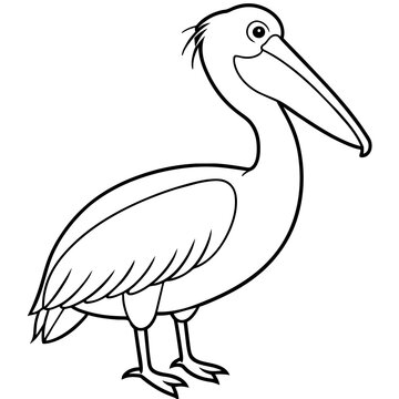 recommend clip art: line art of a pelican