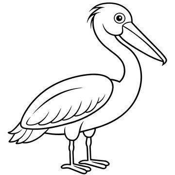 recommend clip art: line art of a pelican