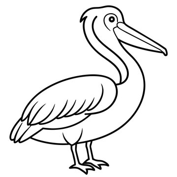 recommend clip art: line art of a pelican