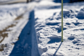Sidewalk with edge markers used for snow blowing guides