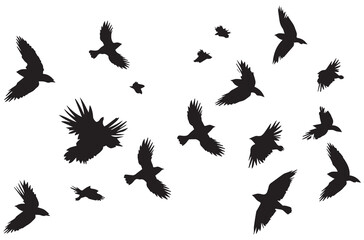 Obraz premium Set of flying birds Vector silhouettes