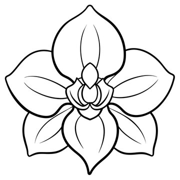 line art of a orchid