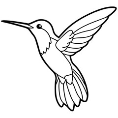 line art of a hummingbird