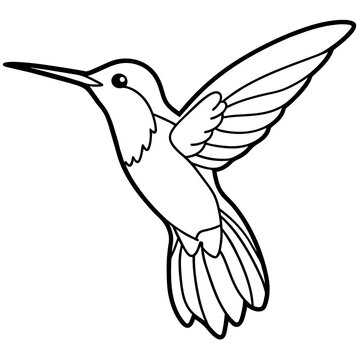recommend clip art: line art of a hummingbird