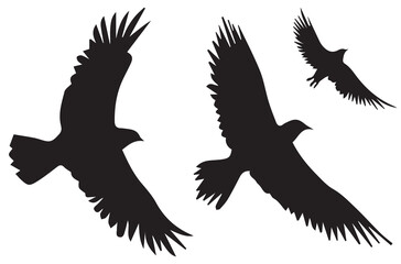 Set of flying birds Vector silhouettes