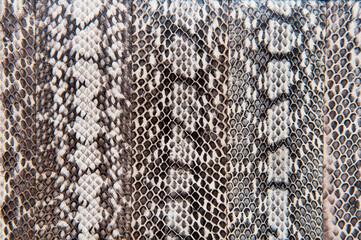 Abstract view of snake skin texture background - obrazy, fototapety, plakaty