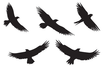 Set of flying birds Vector silhouettes