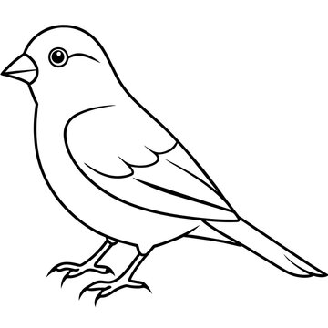 recommend clip art: line art of a canary