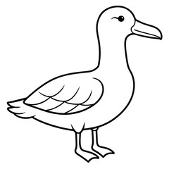 line art of a albatross