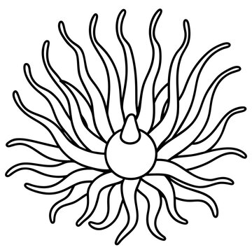 line art of a anemone
