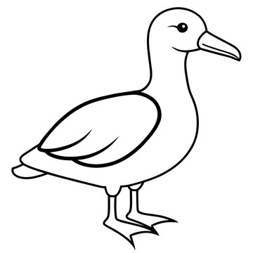 recommend clip art: line art of a albatross