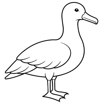 recommend clip art: line art of a albatross