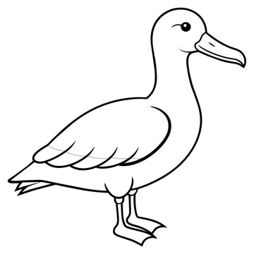 recommend clip art: line art of a albatross