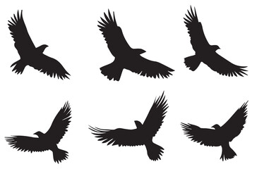 Fototapeta premium silhouettes flying birds Vector illustration