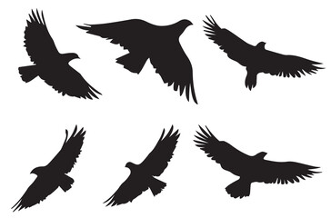 Naklejka premium silhouettes flying birds Vector illustration
