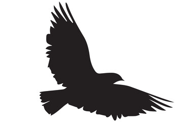 silhouettes flying birds Vector illustration