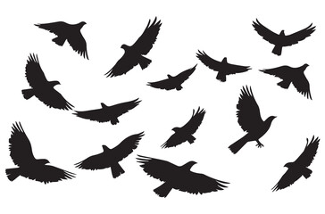 silhouettes flying birds Vector illustration