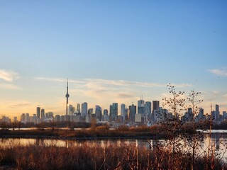 Obraz premium toronto at sunset