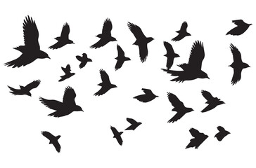 silhouettes flying birds Vector illustration