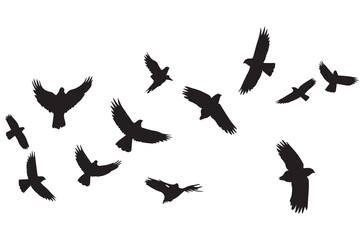 silhouettes flying birds Vector illustration
