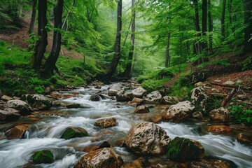 Naklejka na ściany i meble a river flowing through a forest