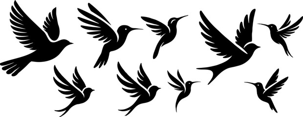 Set d'oiseaux en vol, collection à ajuster selon besoins. Vecteur noir isolé du fond.  - obrazy, fototapety, plakaty