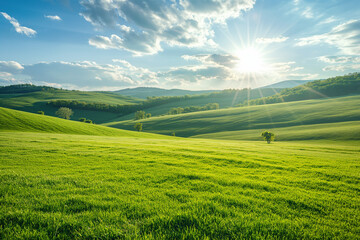 the landscape of a vast meadow for computer wallpaper, or the texture of the view outside the...