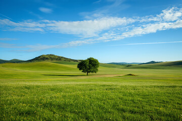 Fototapeta premium the landscape of a vast meadow for computer wallpaper, or the texture of the view outside the window for visualization, generative AI