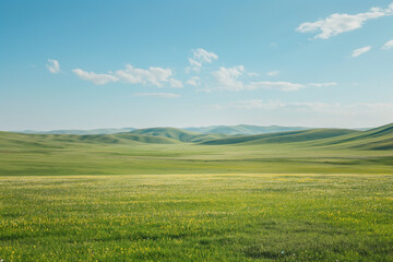the landscape of a vast meadow for computer wallpaper, or the texture of the view outside the window for visualization, generative AI