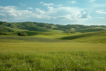 Fototapeta premium the landscape of a vast meadow for computer wallpaper, or the texture of the view outside the window for visualization, generative AI