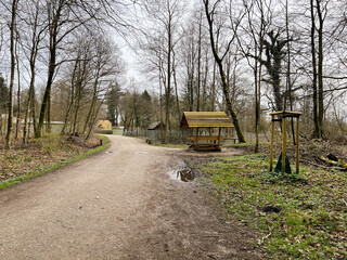 Forest at spring time in Flensburg, northern city in Germany