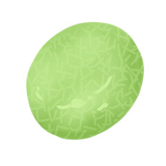melon hand drawn illustration